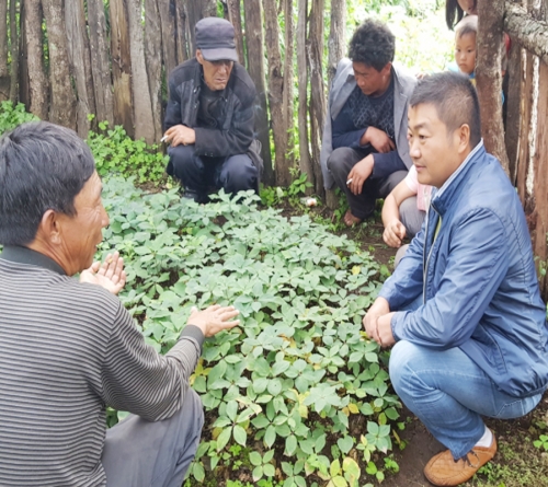 云南宝田农业总经理和种植户交流